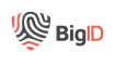 bigid.png